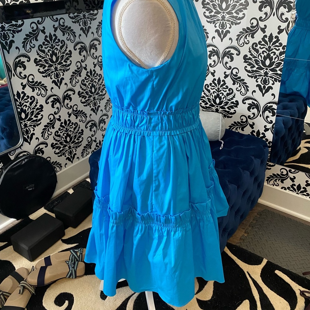 Lilly Pulitzer Ruffle Dress - Picture 6 of 10